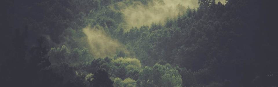 910ed0c1-13f3-35ad-93db-eb423ee71829